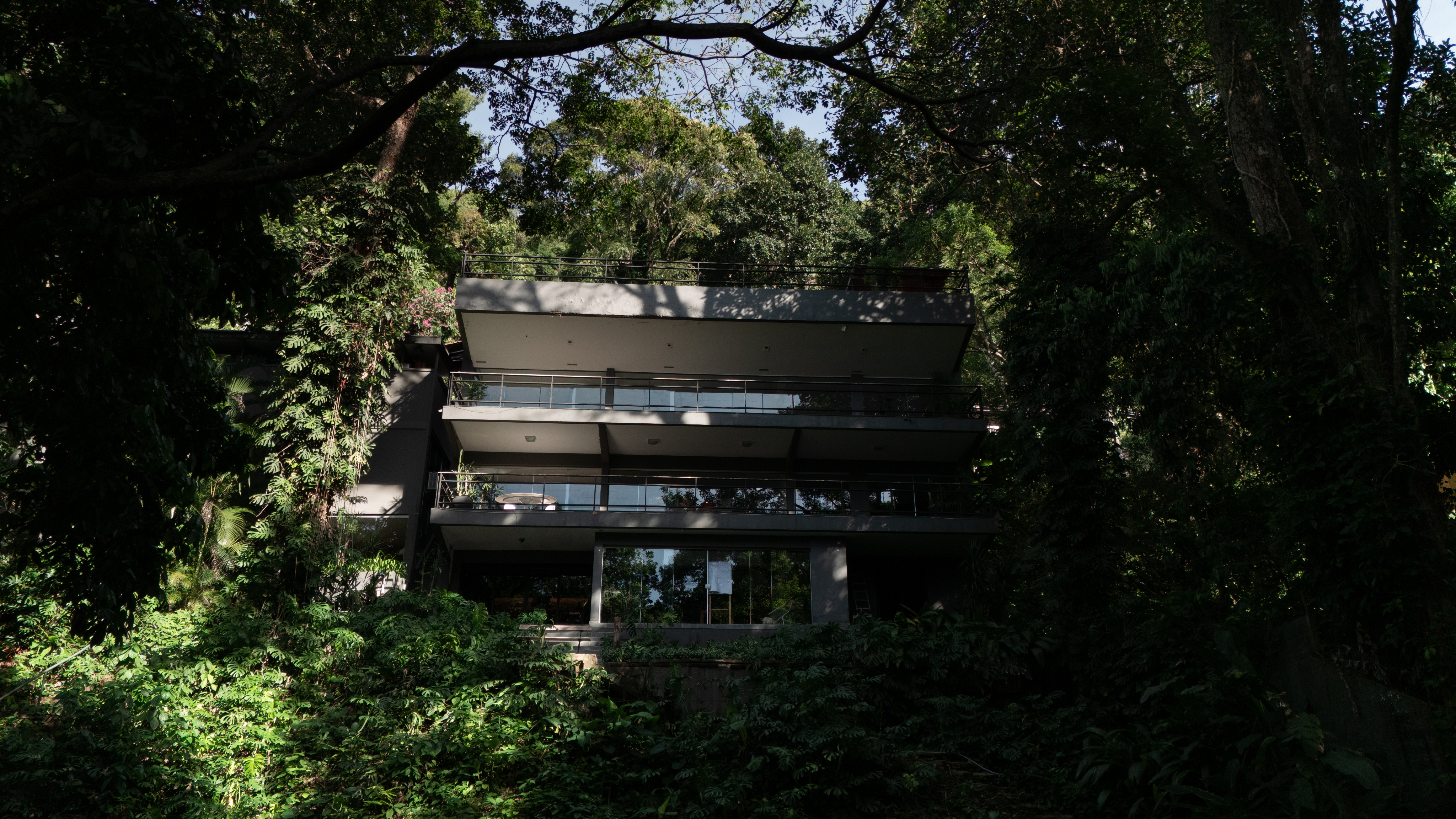 concrete house in lush environment