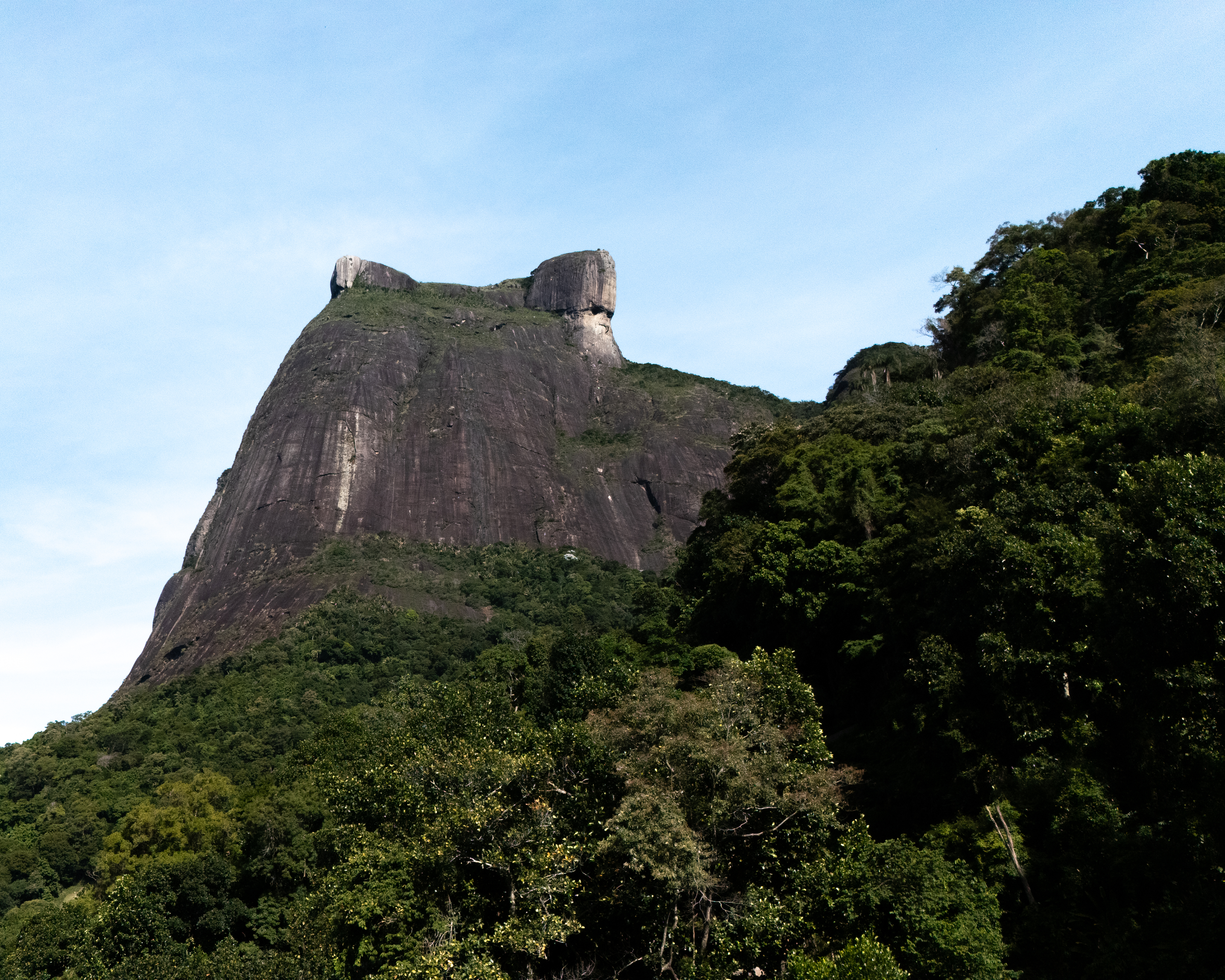 green garden with ponds and fountains